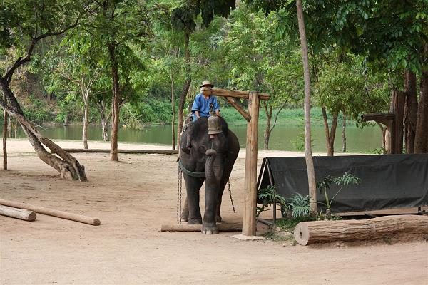 Click for the original image