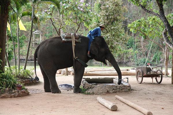 Click for the original image