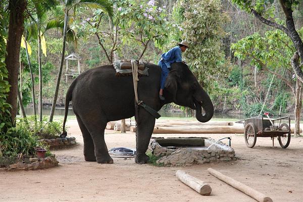 Click for the original image