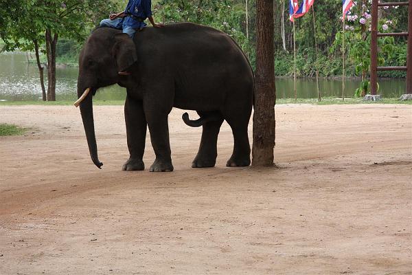 Click for the original image