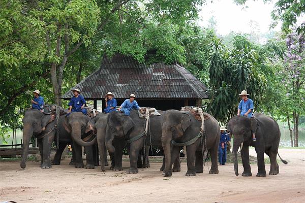 Click for the original image