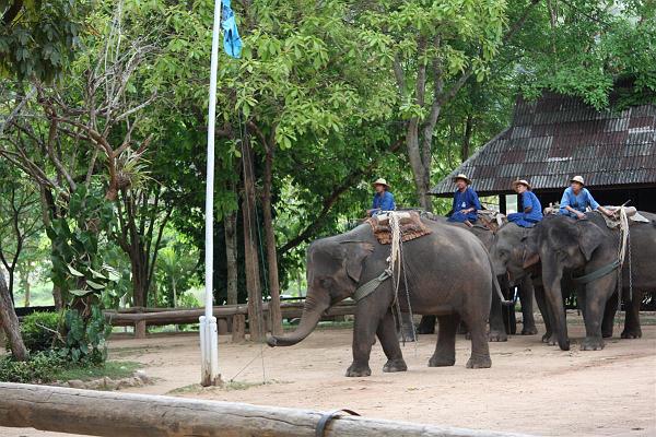 Click for the original image