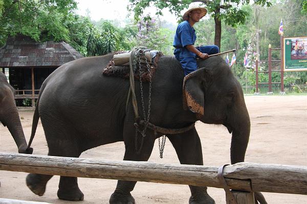 Click for the original image