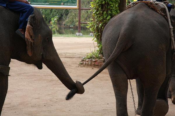 Click for the original image