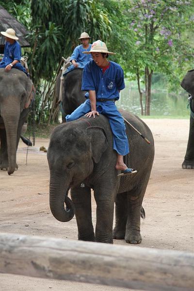 Click for the original image