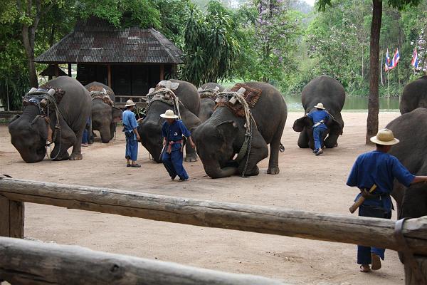 Click for the original image