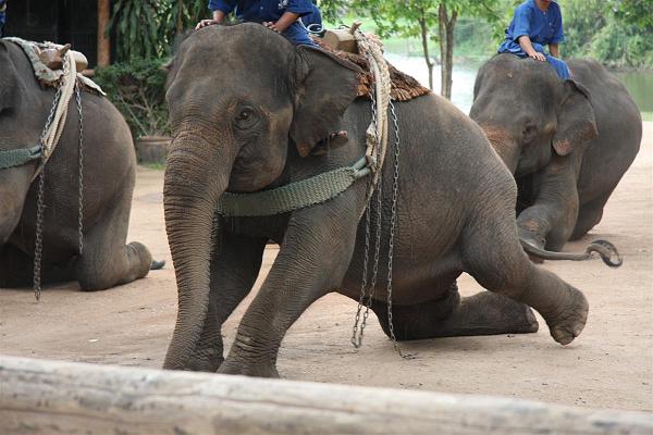 Click for the original image