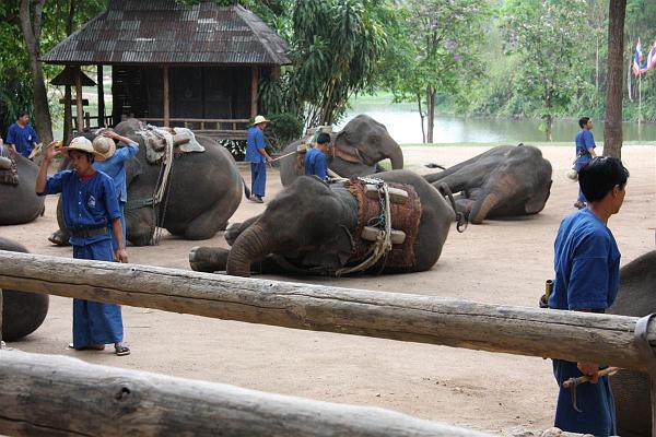 Click for the original image