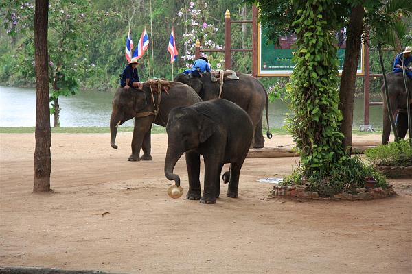 Click for the original image