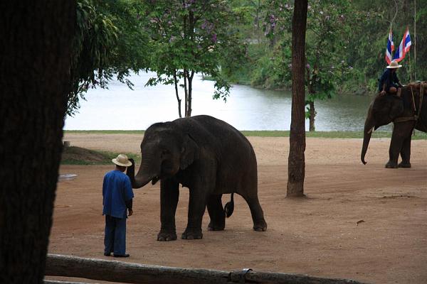 Click for the original image