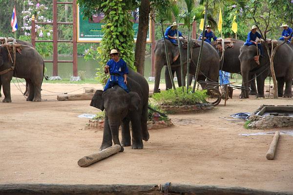 Click for the original image