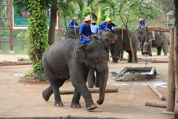 Click for the original image