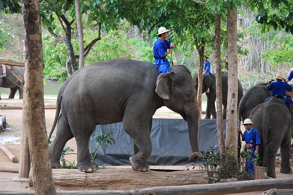 Click for the original image