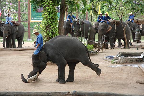 Click for the original image