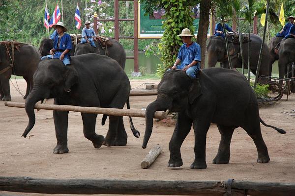 Click for the original image