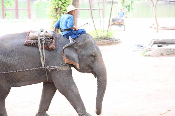 Click for the original image