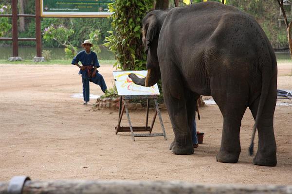 Click for the original image