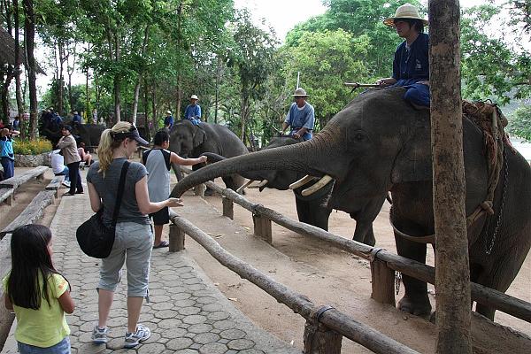 Click for the original image