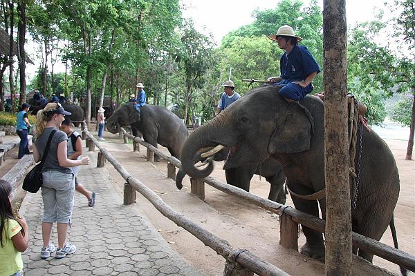 Click for the original image