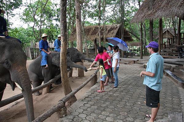 Click for the original image