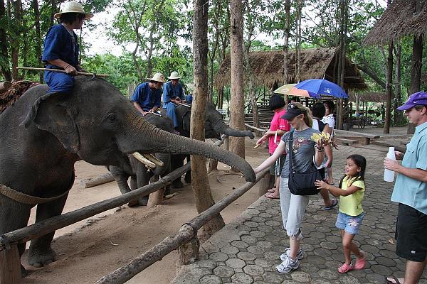 Click for the original image