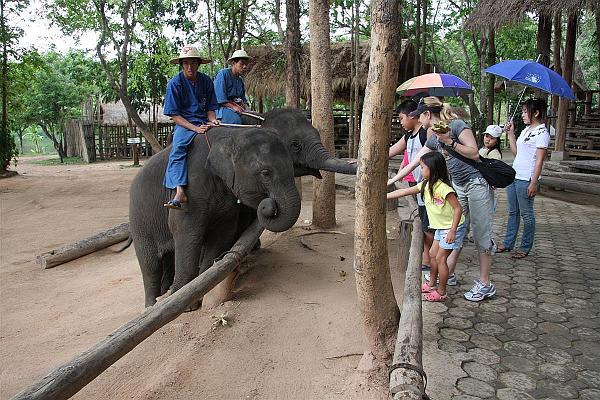 Click for the original image