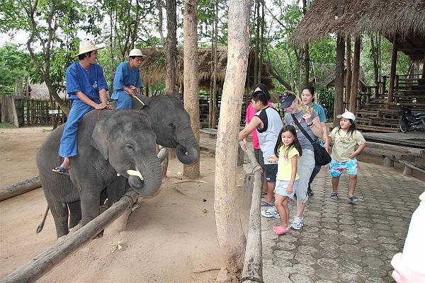 Click for the original image