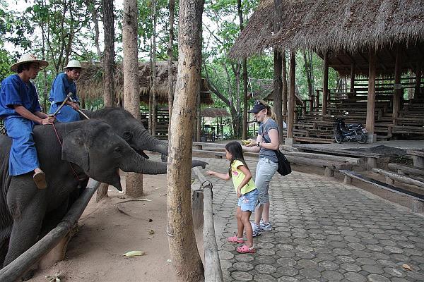 Click for the original image