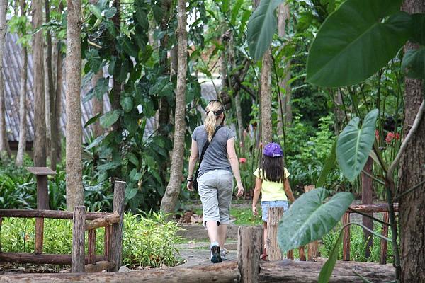 Click for the original image