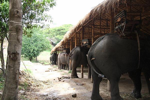 Click for the original image