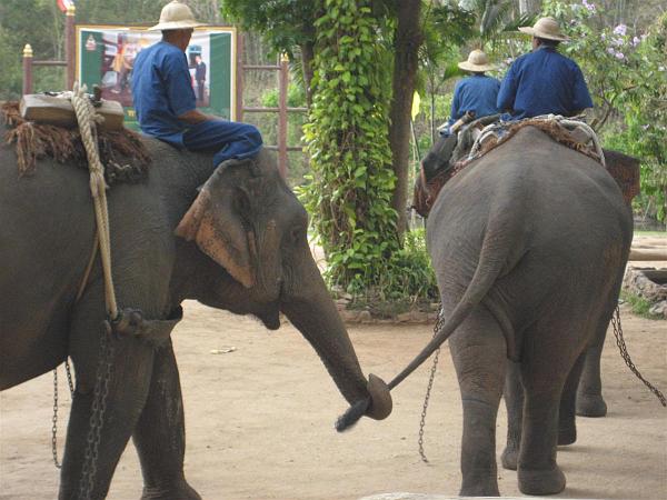 Click for the original image