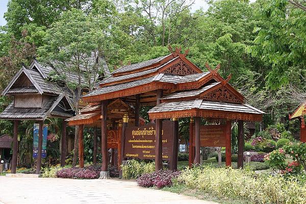 Click for the original image