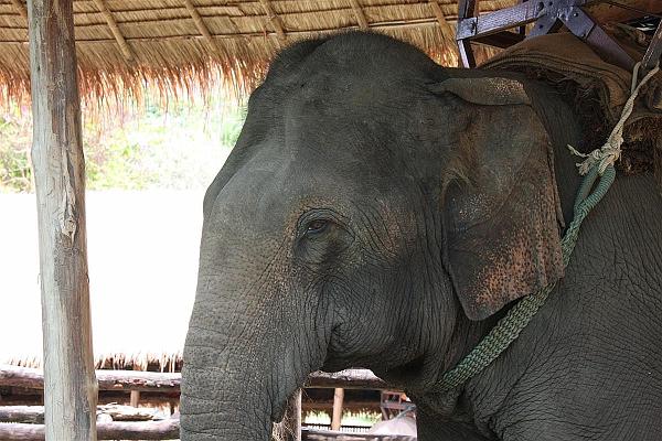 Click for the original image