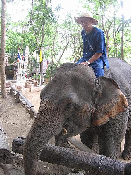 Click for the original image