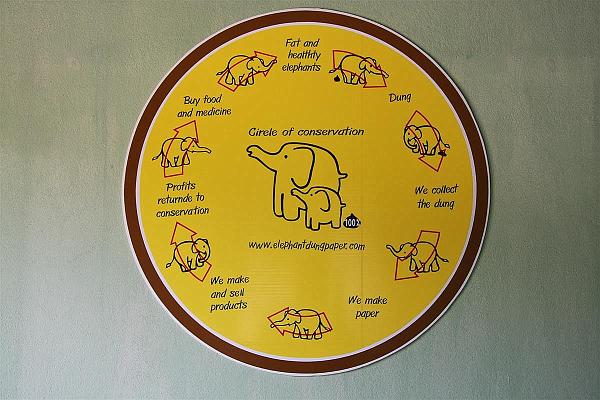 Click for the original image