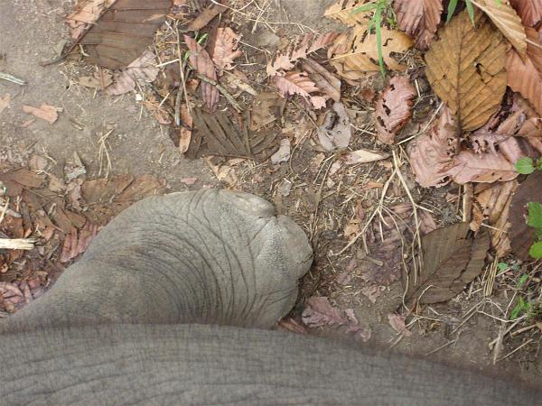 Click for the original image