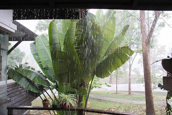 Click for the original image