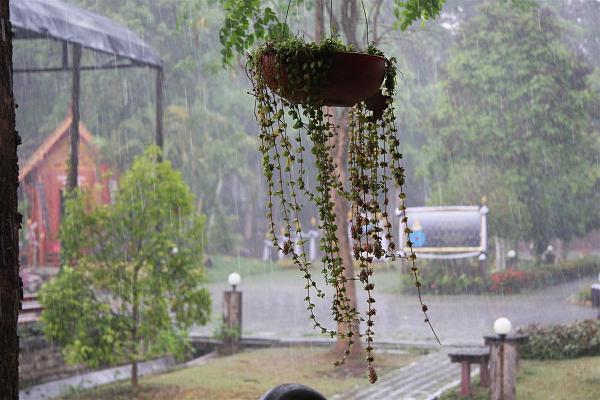 Click for the original image