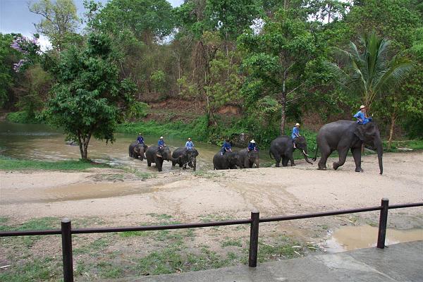 Click for the original image