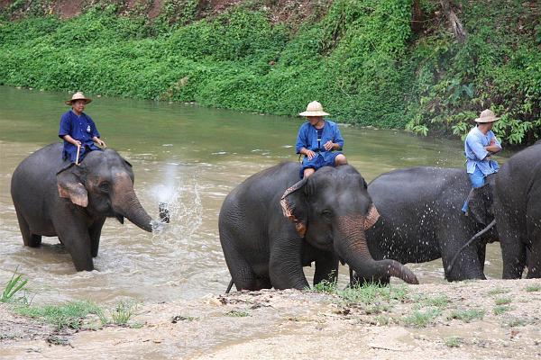 Click for the original image