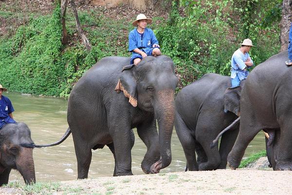 Click for the original image