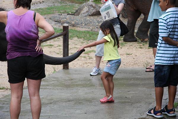 Click for the original image