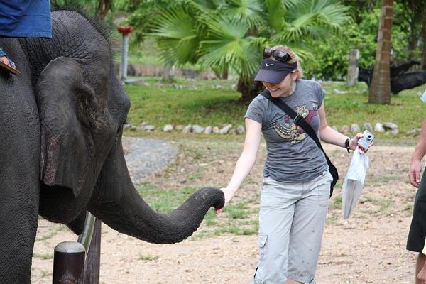 Click for the original image