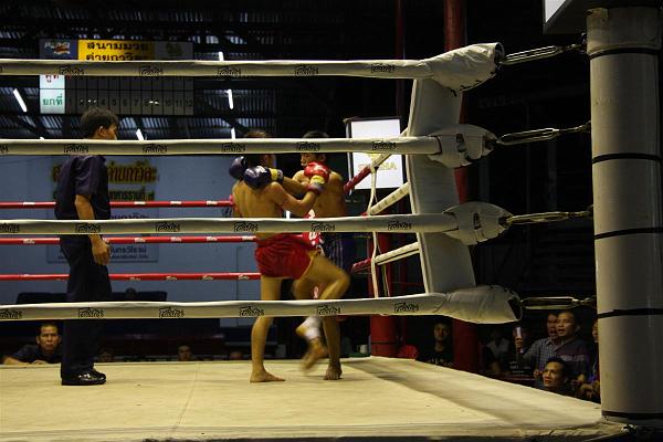 Click for the original image