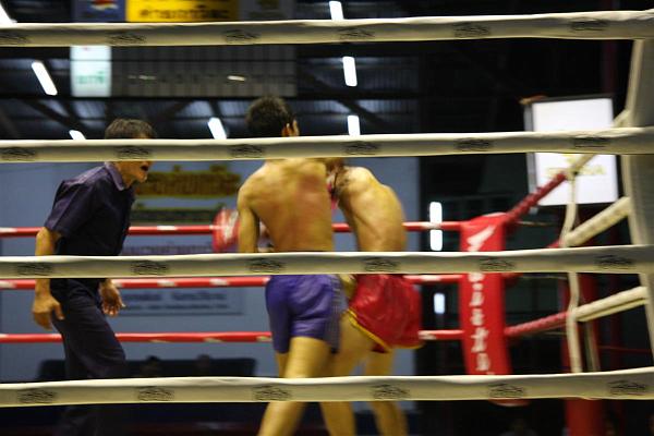 Click for the original image