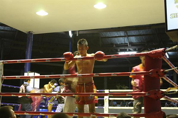 Click for the original image