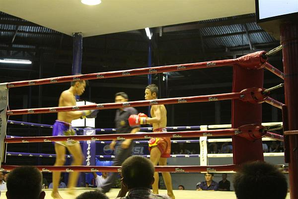 Click for the original image