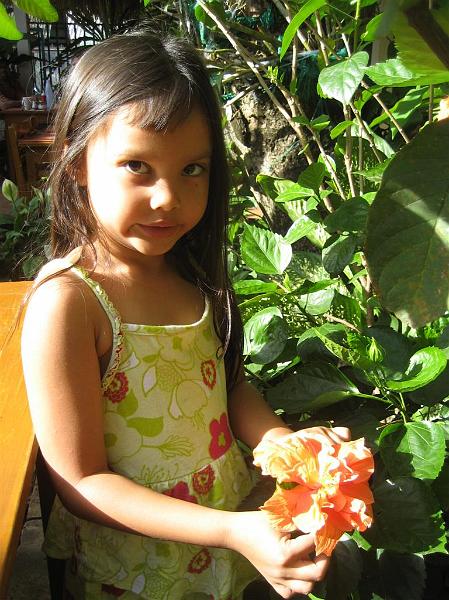 Click for the original image