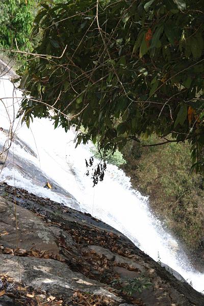 Click for the original image