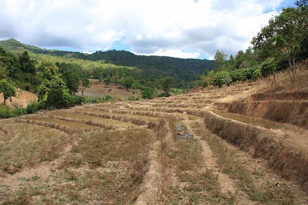 Click for the original image